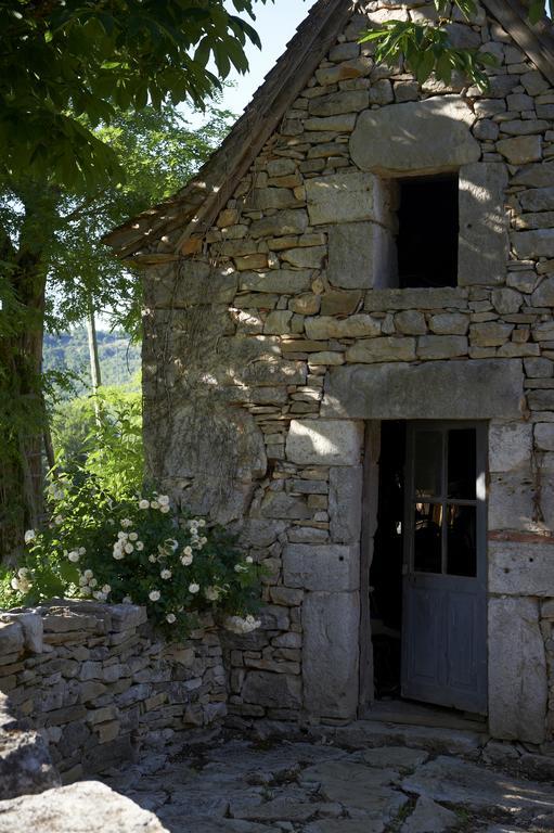 Mas De Garrigue Bed & Breakfast Calvignac Exterior photo