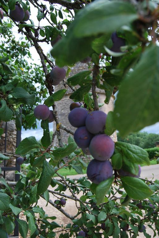 Mas De Garrigue Bed & Breakfast Calvignac Exterior photo
